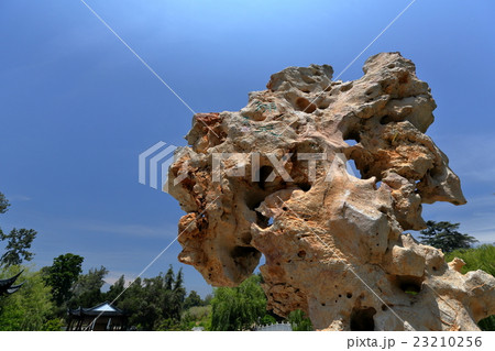 ハンティントンライブラリ 23210256