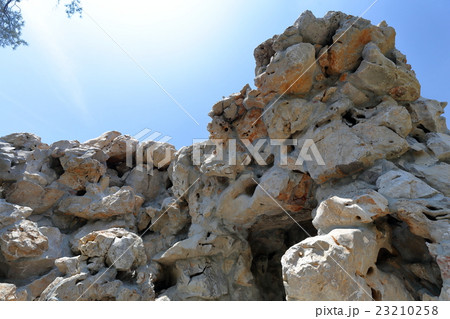 ハンティントンライブラリ 23210258