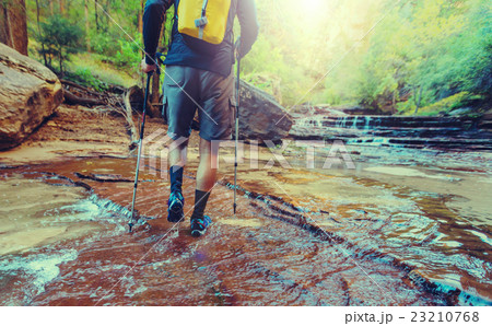Hike in Zion 23210768