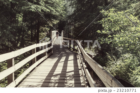 Hike 23210771