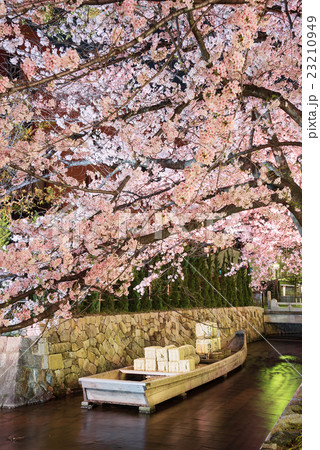 高瀬川　一之船入の夜桜 23210949