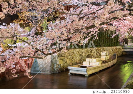 高瀬川　一之船入の夜桜 23210950