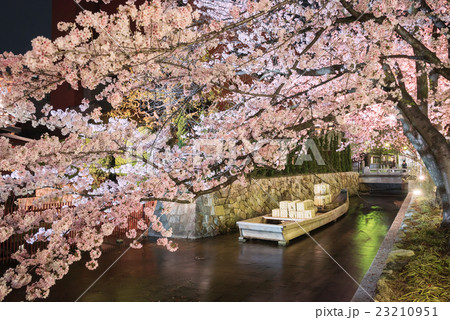 高瀬川 一之船入の夜桜 高瀬川 一之船入の夜桜 23210951