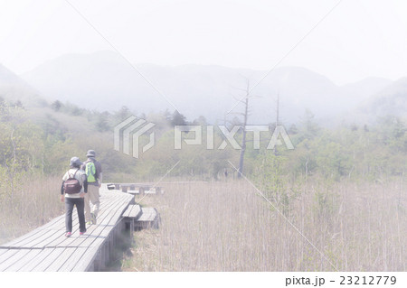栃木県日光市　戦場ヶ原の木道_5月 23212779