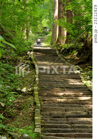 羽黒山杉並木 羽黒山杉並木 23212829
