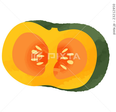 かぼちゃ 23212950