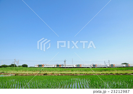 青空と新緑の武蔵野線を行く185系臨時愛息電車の写真素材