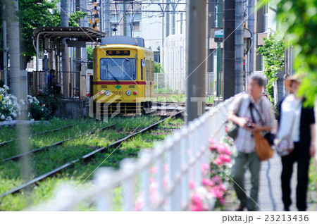 都電荒川線沿いの散歩道 23213436