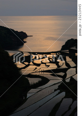 浜野浦　棚田　　少年 23213445