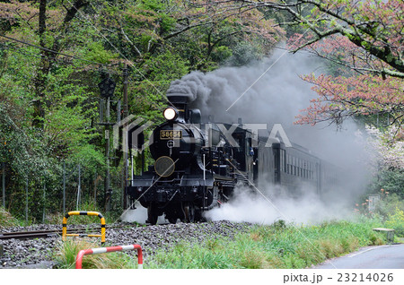 電車 23214026