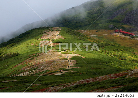 霧湧く白馬・雷鳥坂と登山者 23214053