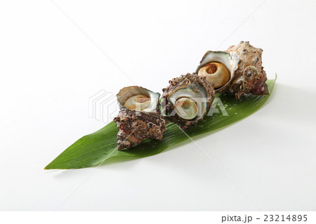 食材 貝 海鮮 サザエ 鮮魚 新鮮 食べ物 食材 貝 海鮮 サザエ 鮮魚 新鮮 食べ物 23214895