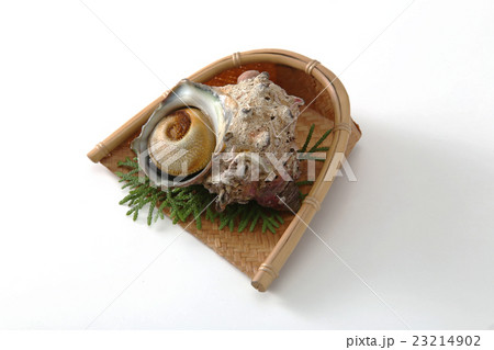食材 貝 海鮮 サザエ 鮮魚 新鮮 食べ物 ざる盛り 食材 貝 海鮮 サザエ 鮮魚 新鮮 食べ物 ざる盛り 23214902