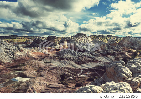 White pocket 23215859