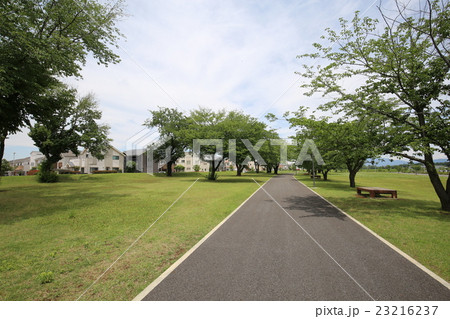 学園の杜公園と住宅 学園の杜公園と住宅 23216237