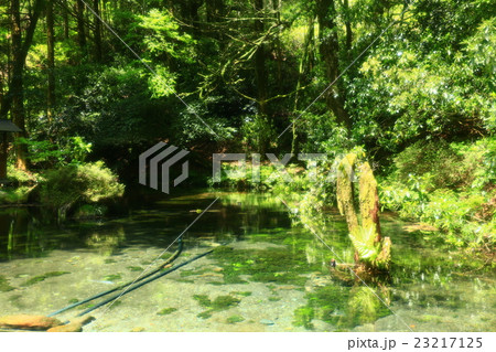 産山村　池山水源 23217125