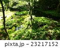 産山村　山吹水源 23217152