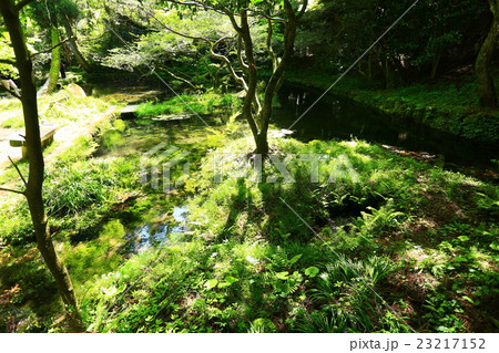 産山村　山吹水源 23217152