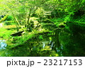 産山村　山吹水源 23217153