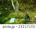産山村　山吹水源 23217155