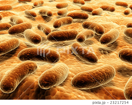 Pathogen bacteria on the surface 23217254