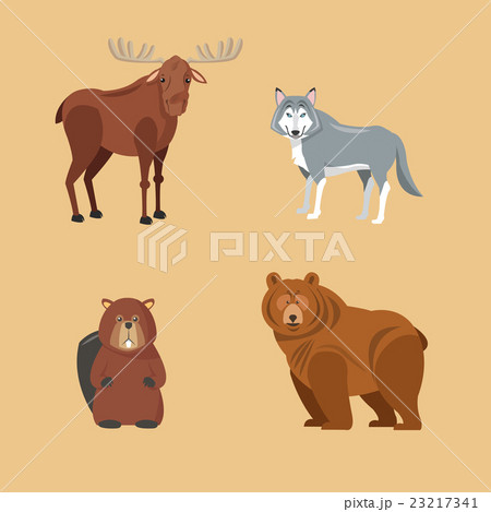 Forest animals. cartoon design. Colorfull Forest animals. cartoon design. Colorfull 23217341