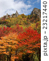 層雲峡の秋 23217440