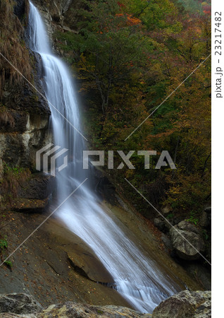 藤花の滝 藤花の滝 23217482