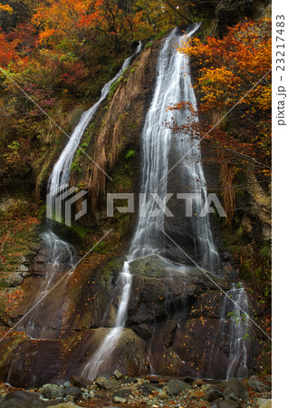 絹糸の滝 絹糸の滝 23217483