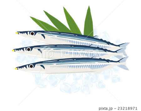 新鮮な秋刀魚 スーパー イラスト 新鮮な秋刀魚 スーパー イラスト 23218971