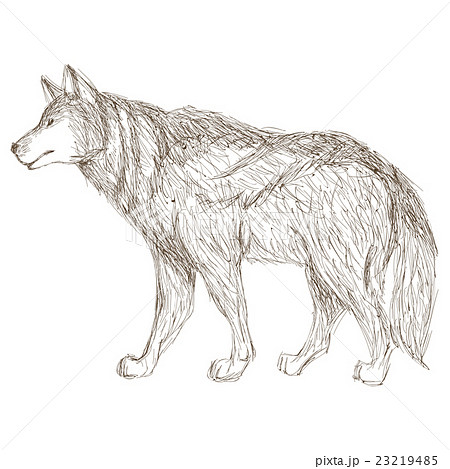 Wolf Sideview Sketch Icon Stock Illustration