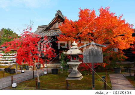 本堂前の紅葉 23220358