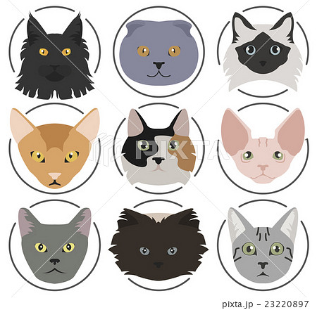 Cat breeds icon set flat style 23220897