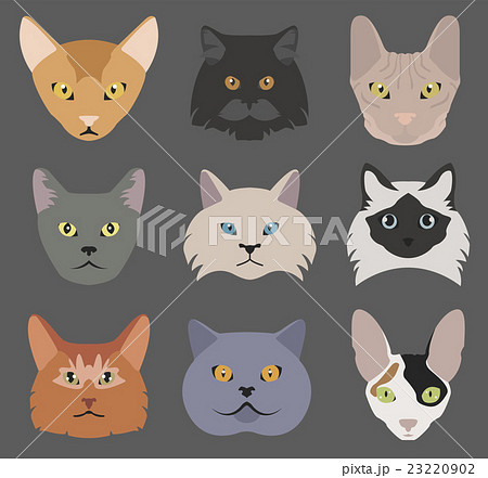 Cat breeds icon set flat style 23220902