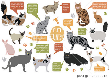 Cat characters and vet care icon set flat style 23220918