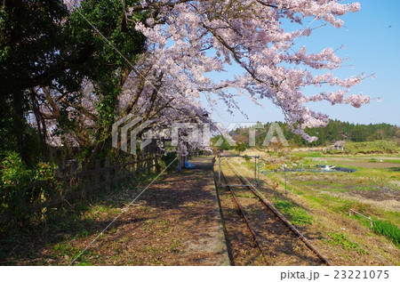蛸島駅の春 蛸島駅の春 23221075