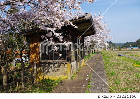 廃止された駅と桜 23221166