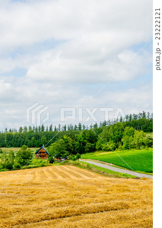 【北海道】美瑛の自然 【北海道】美瑛の自然 23222121