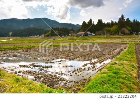 早春の農村風景 (35) 23222204