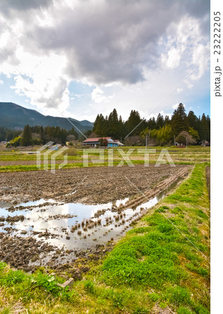 早春の農村風景 (36) 23222205