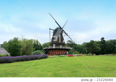 ふなばしアンデルセン公園のメルヘンの丘と風車（7月）千葉県船橋市 23226060