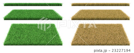 青々とした芝生 枯れた芝生のイラスト素材