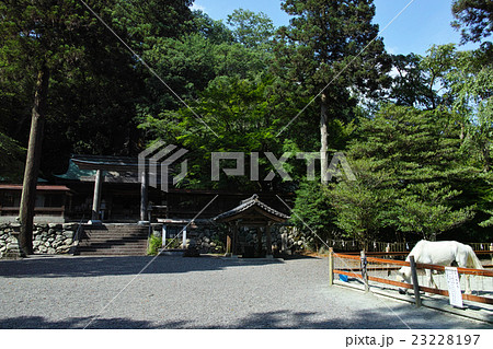 奈良 丹生川上神社下社と御神馬 奈良 丹生川上神社下社と御神馬 23228197