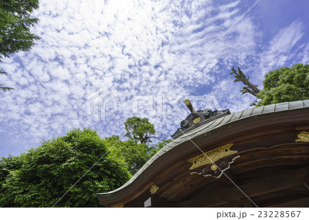 熊本地震で被災した水前寺公園水前寺成趣園の神楽殿と快晴天の青空と白い巻積雲うろこ雲の写真素材