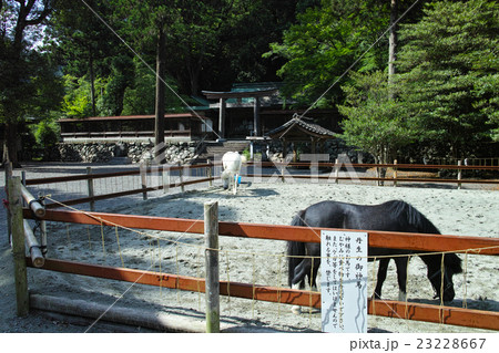 奈良 丹生川上神社下社と御神馬 奈良 丹生川上神社下社と御神馬 23228667