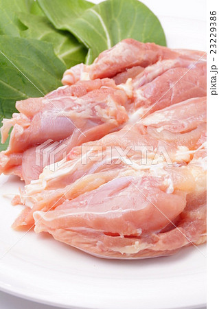 生鶏肉 生鶏肉 23229386