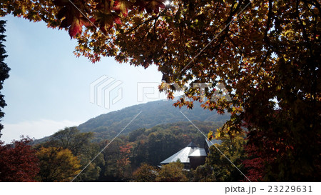 ひろしま県民の森公園センター 紅葉 ひろしま県民の森公園センター 紅葉 23229631