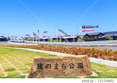 鯉のぼり　はんだ蔵のまち 23229802