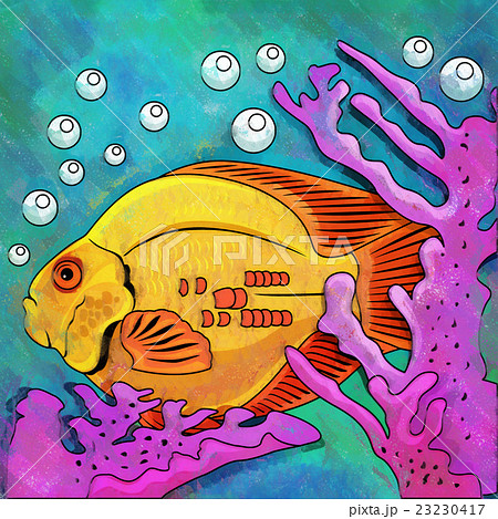 Colorful Aquarium Fish 23230417