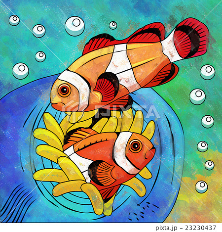 Colorful Aquarium Fishes Colorful Aquarium Fishes 23230437